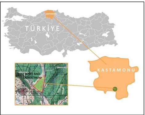 Şekil 4.2. Şehit Şerife Bacı Tabiat Parkı’nın konumu 