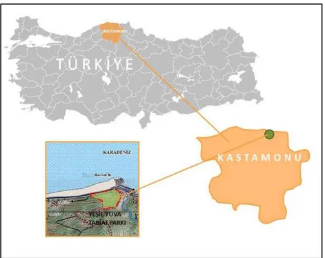 Şekil 4.3. Yeşil Yuva Tabiat Parkı’nın konumu 