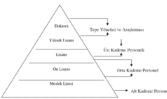 ġekil  1: Turizm eğitim piramidi   