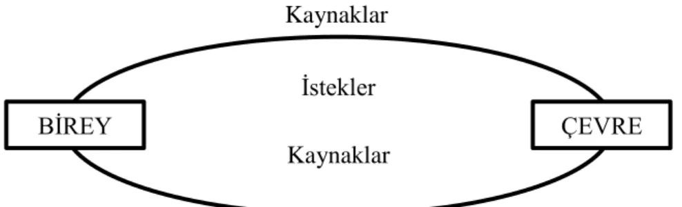ġekil 1: Birey-Çevre ĠliĢkisi (DanıĢ, 2006). 