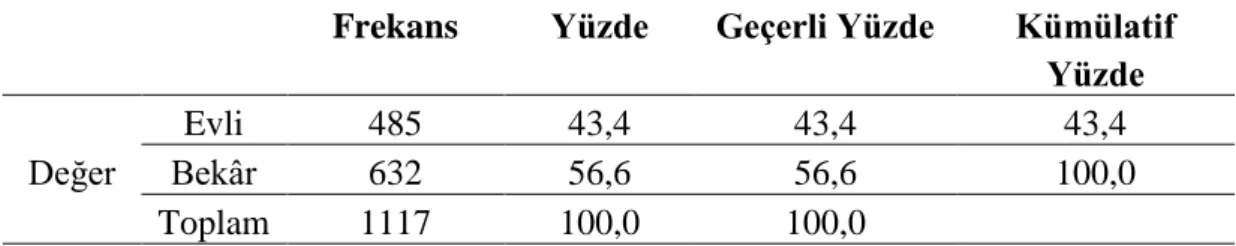 Tablo 3.3.  Katılımcıların yaşlarına ait veriler 