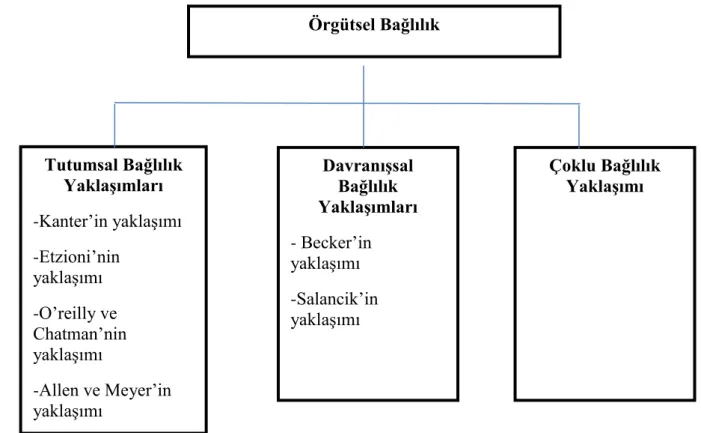 Şekil 2.1. Örgütsel bağlılığın sınıflandırılması (Gül, 2002: 40)  2.2.1. Tutumsal Bağlılık 