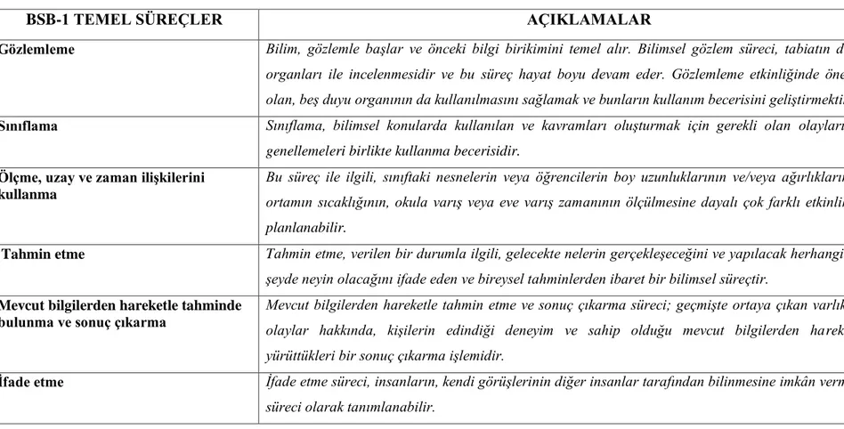 Tablo 2.1. Temel ve Deneysel Süreç Becerileri Özet Tablo (Turan, 2018)