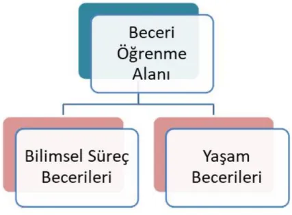 Şekil 2.7. 2013 Fen Bilimleri Öğretim Programı’ nda Beceri Öğrenme Alanı (MEB, 2013) 
