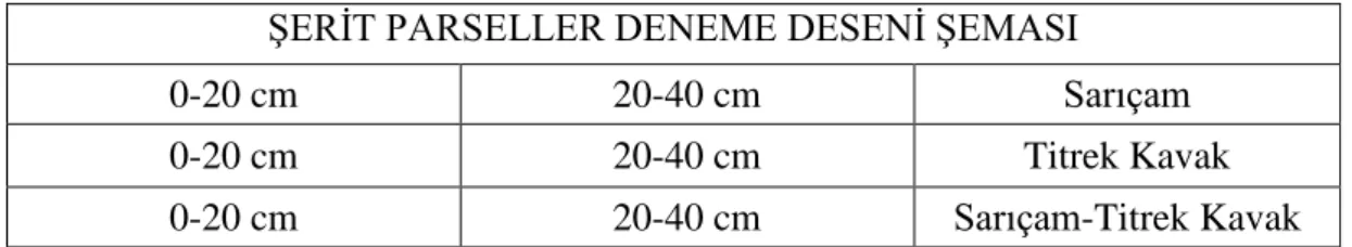 Tablo 3. 2. Şerit parseller deneme deseni (Derinlik faktörü) 