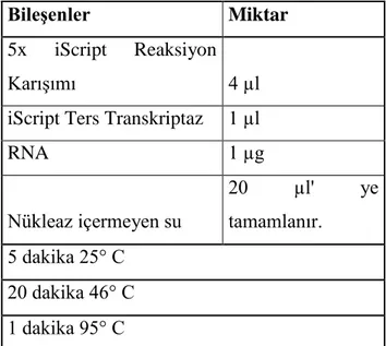 Tablo 4.3. Komplementer DNA sentezinde kullanılan reaksiyon bileşenleri ve reaksiyon 