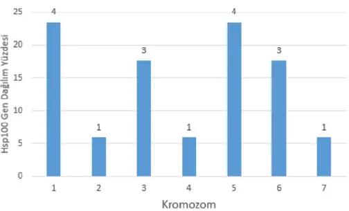 Şekil 3.42. CsHsp100 genlerinin salatalık kromozomlarına dağılımları 