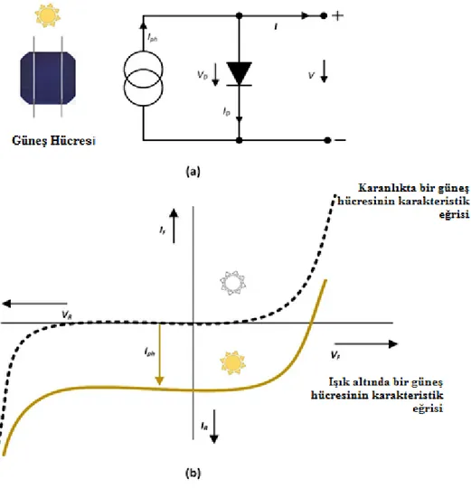 Şekil 3.1. Işık altında güneş hücresinin basitleştirilmiş elektrik eşdeğeri (a) ve karakteristik  eğrisi (b) 