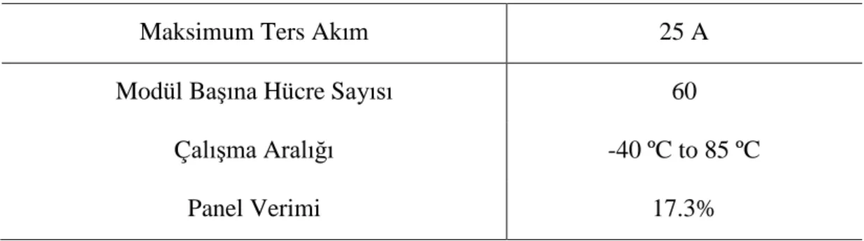 Tablo 4.2’nin devamı 
