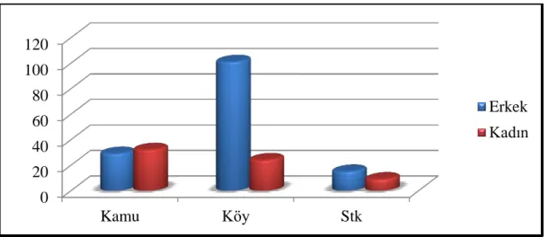 Grafik 4.3. Katılımcıların Cinsiyet Durumu 