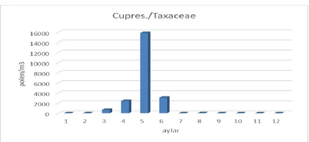 Grafik 4.4. Cupressaceae/Taxaceae polenlerinin yıl içerisindeki değişim grafiği 