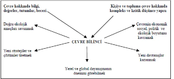 Şekil 2.1.  Çevre eğitiminin amacı  