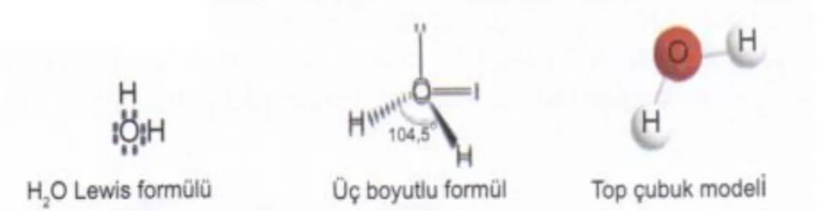 Şekil 2.2. Suyun molekül yapısı 