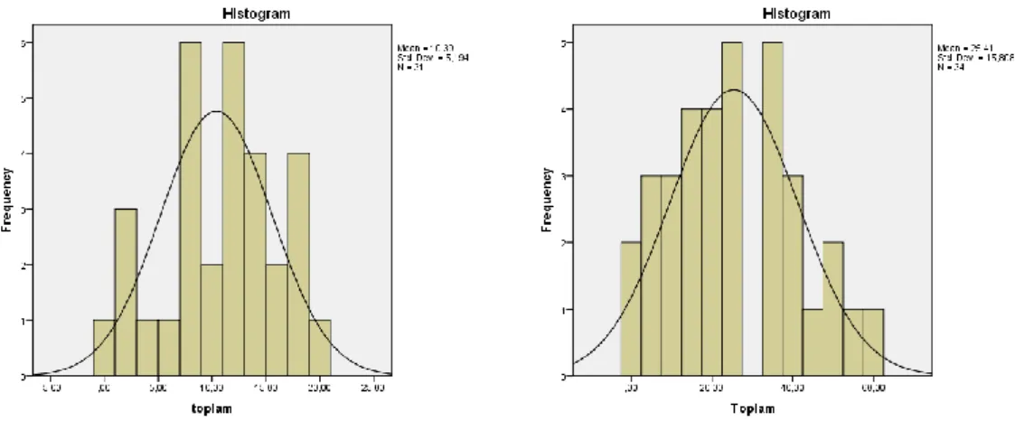 Grafik 4.1. Normal Dağılım Grafikleri 