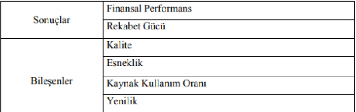 Şekil 2.3. Fitzgerald’ın Sonuçlar – Bileşenler Matrisi (Neely, 2000:119) 