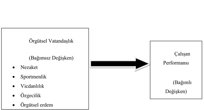 Şekil 3.1. Araştırmanın Modeli Örgütsel Vatandaşlık (Bağımsız Değişken) •  Nezaket •  Sportmenlik •  Vicdanlılık •  Özgecilik •  Örgütsel erdem  Çalışan Performansı  (Bağımlı Değişken) 