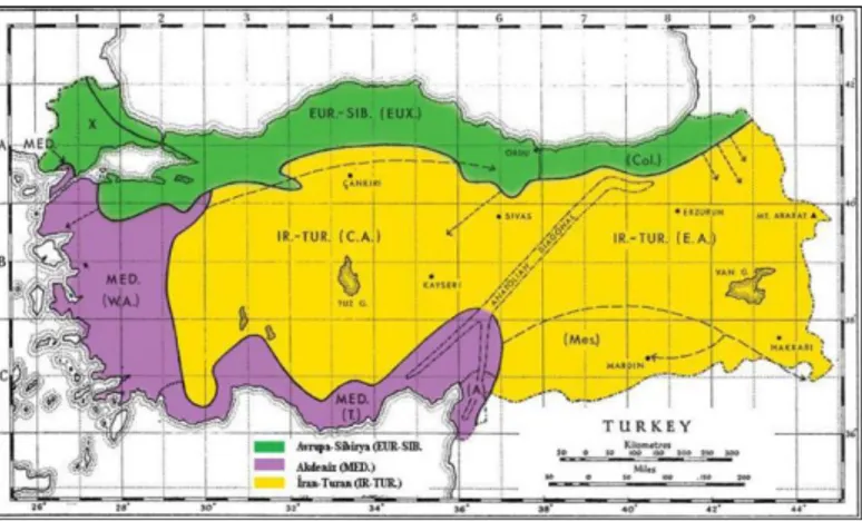 Şekil 1.1. Türkiye’nin fitocoğrafik bölgeleri 