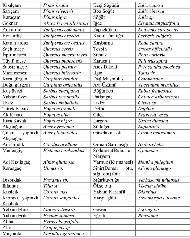Tablo 3.1. Araştırma alanında bulunan bitki türleri 