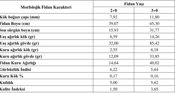 Tablo 3.3. Fıstıkçamı Fidanların morfolojik fidan karakterlerine ait ortalama veriler 