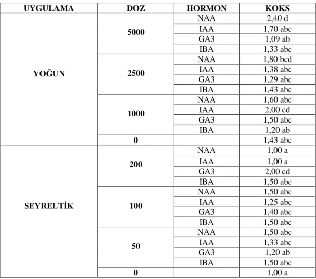 Tablo 4.10. KOKS ortalama değerleri 