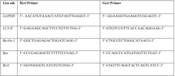 Tablo 3.3. Gen ifade analizlerinde kullanılan genlere ait primer listesi 