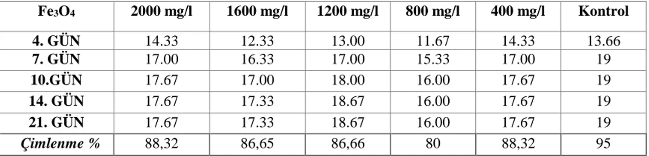 Tablo 4. 10. Fe3O4 nanopartikülü uygulanan tohumların günlere göre çimlenme sayıları  ortalaması ve çimlenme yüzdesi 