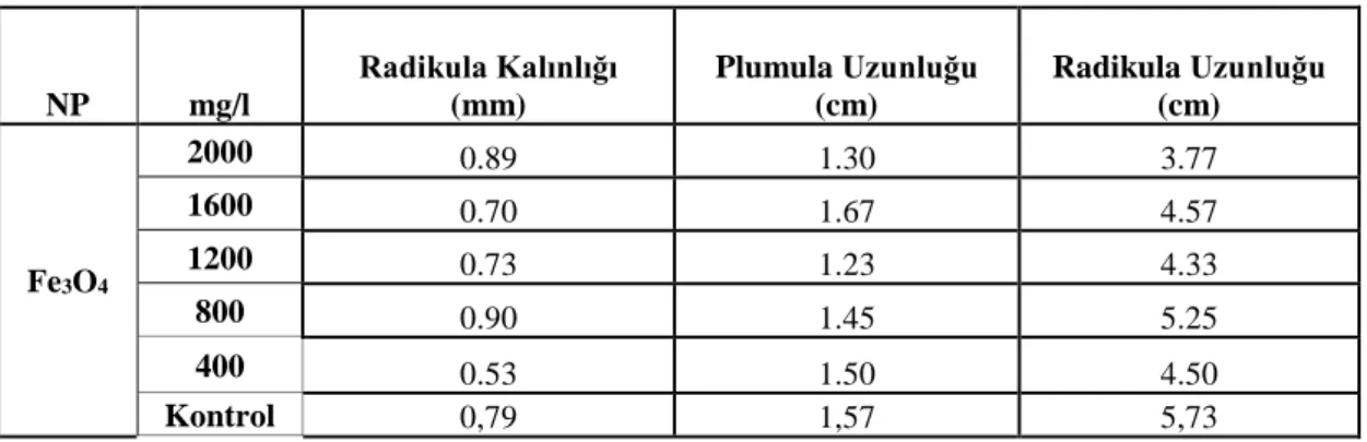 Tablo 4. 11. Fe3O4 nanopartikülü uygulanan tohumların 15. gün fidecik değerleri 