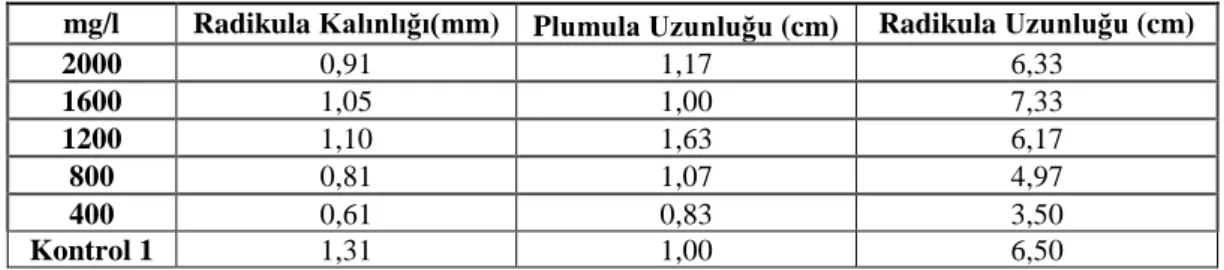 Tablo 4. 1. Farklı dozlarda Silika NP işlemine maruz bırakılmış fideciklerde radikula 