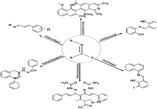 Şekil  1.4  Farmakolojik olarak aktif Schiff bazları   