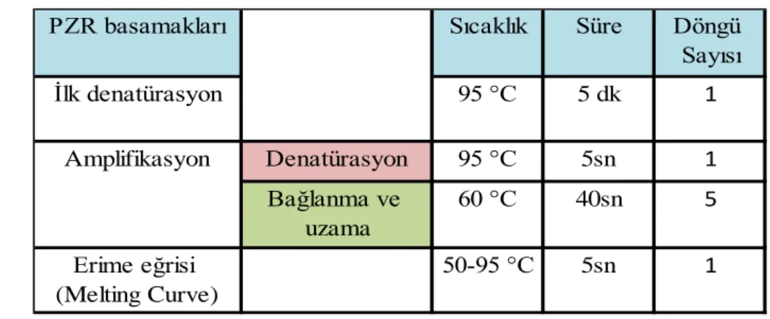 Tablo 3.2. Cihaz çalışma basamakları  Sıcaklık Amplifikasyon 95 °CDenatürasyon95 °C 60 °Cİlk denatürasyon 5sn 1Bağlanma ve  uzama Erime eğrisi  (Melting Curve) Süre Döngü Sayısı5 dk140sn550-95 °C5sn1PZR basamakları