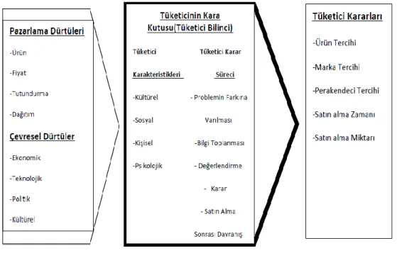 Şekil 4.5. Kurt Lewin modeli 
