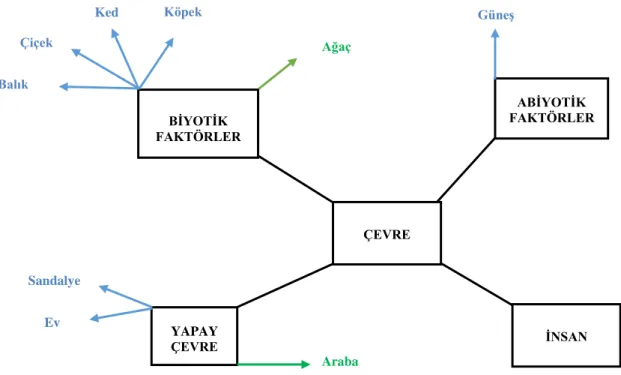 Şekil  1  incelendiğinde  kesme  noktası  7  üzeri  olan  çocuklar  çevrenin  alt  boyutlarından  yapay  çevre  ve  biyotik  faktör  vurgusu  yapmışlardır