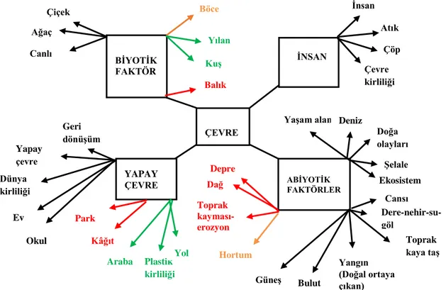 Şekil  6’da  kesme  noktası  4  –  6  arası  olan  deney  grubu  çocukları  çevrenin  alt  boyutları  olan  biyotik  faktör,  abiyotik  faktör  ve  yapay  çevreye  vurgu  yapmışlardır