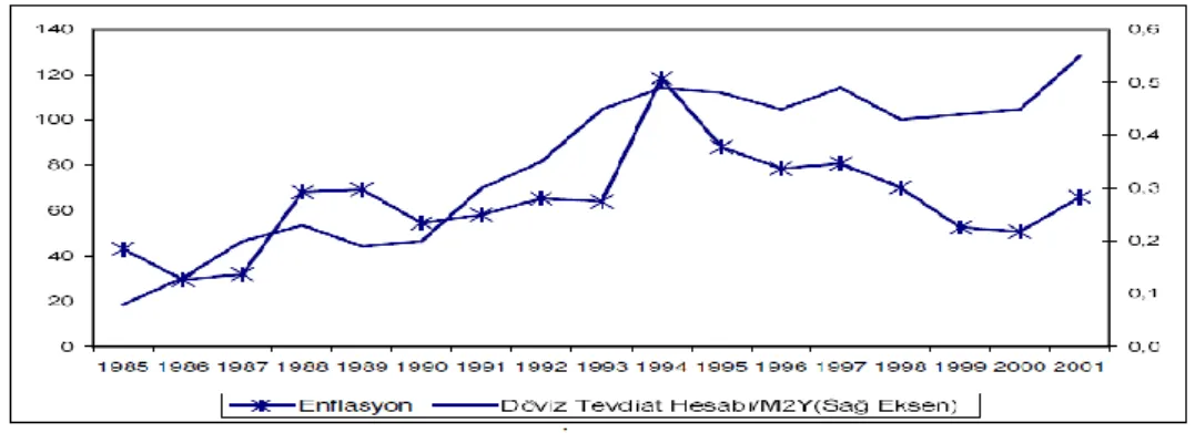 Şekil 2. Türkiye Ekonomisinde Enflasyon ve Para İkamesi 