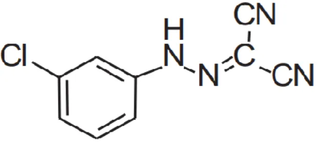 Şekil 1.30. CCCP inhibitörünün kimyasal yapısı 