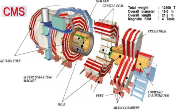 Şekil 1.5. Kompakt müon solenoiti (CMS).  1.9.1.3. Alice detektörü (a large ion collider experiment) 