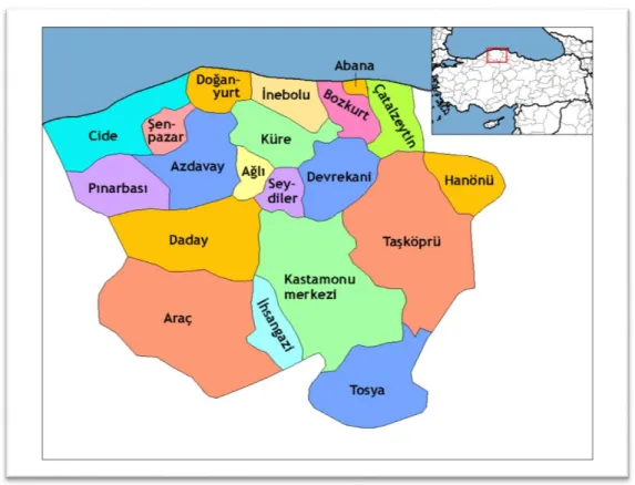 Şekil 2. Kastamonu ili ve ilçeleri 