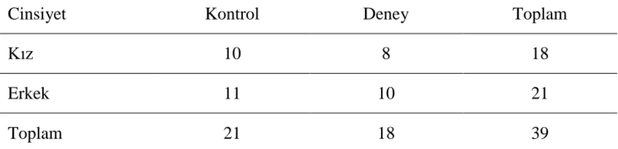 Tablo 2. Deney ve kontrol grubunda yer alan çocukların demografik özellikleri 