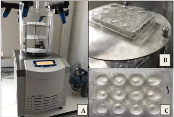 Şekil 5.4.  A.  Liyofilizasyon  cihazı  B.  Liyofilizasyon  işlemi  için  liyofilizatör  cihazına  yüklenen  numuneler  C