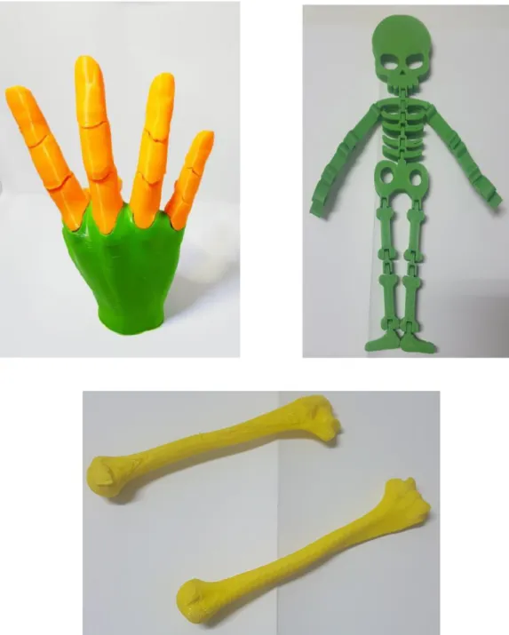 Şekil 3.3. Üç boyutlu yazıcı teknolojisiyle geliştirilen el, iskelet ve kemik modelleri 