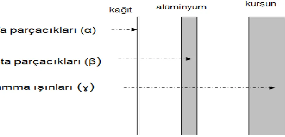 Şekil 3.   α, β ve  ɣ’ların maddeye nüfuz yetenekleri 