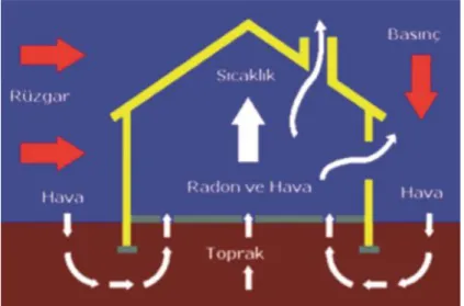 Şekil 5.  Radon gazının ev ortamında dengelenmesi 