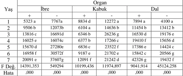 Tablo 4.2. Ca (ppm) Elementinin Organ Yaşı Bazında Değişimi 