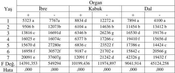 Tablo 4.2. Ca (ppm) Elementinin Organ Yaşı Bazında Değişimi 