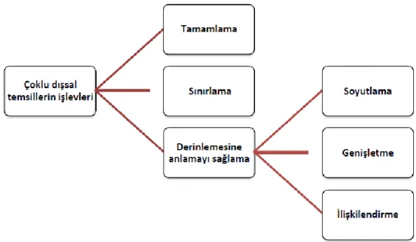 Şekil 2.1. Çoklu temsillerin kullanım işlevleri 