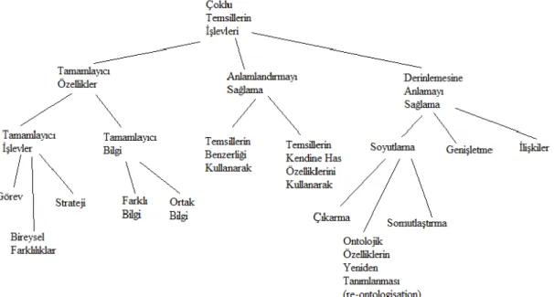 Şekil 2.4. Çoklu temsillerin işlevsel taksonomisi 
