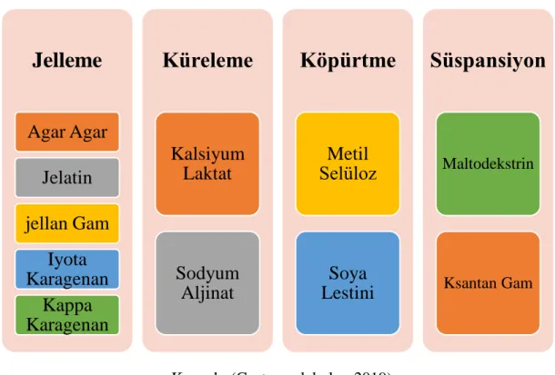Tablo 2. Moleküler gastronomide kullanılan katkı maddeleri 