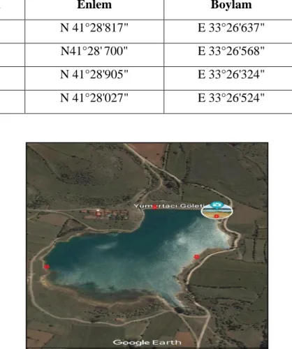 Tablo 2.2. Numune alınan İstasyonlar    