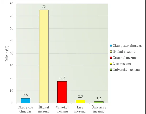 Grafik 4.2. Bireylerin Eğitim Düzeyi 