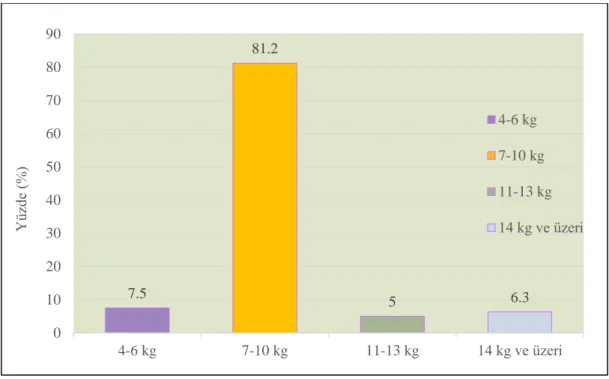 Grafik 4.12. Maksimum Hasat (Kg) 